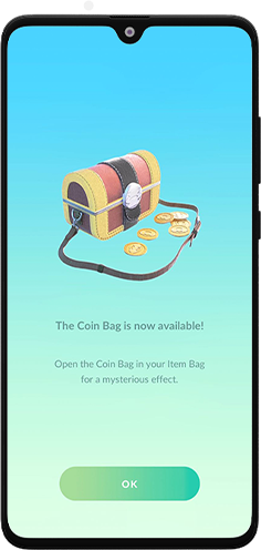 Coin Bag available screen